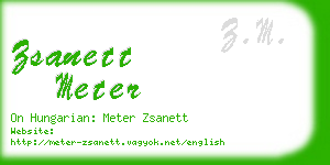 zsanett meter business card